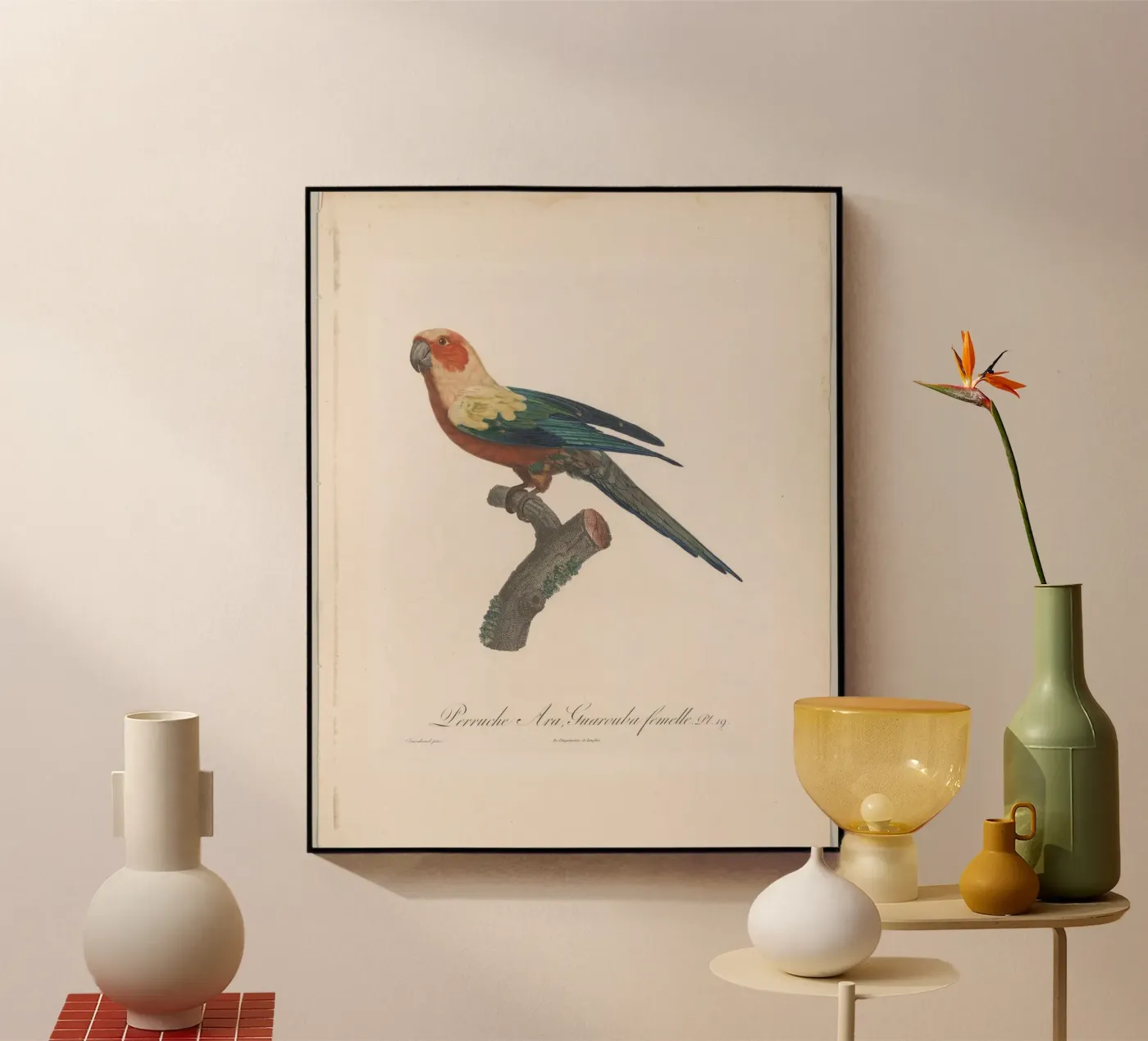 perroquets acryl van vintageshop