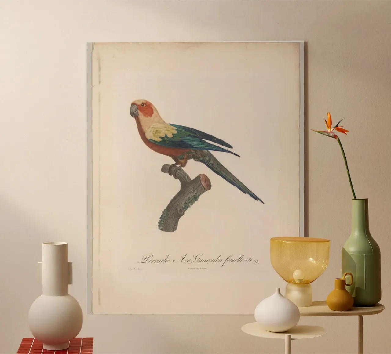 perroquets plexiglass da vintageshop