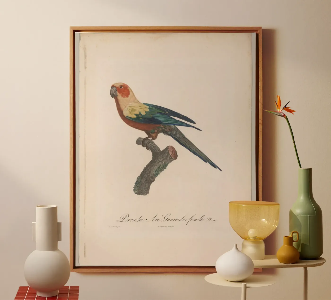 perroquets tela da vintageshop