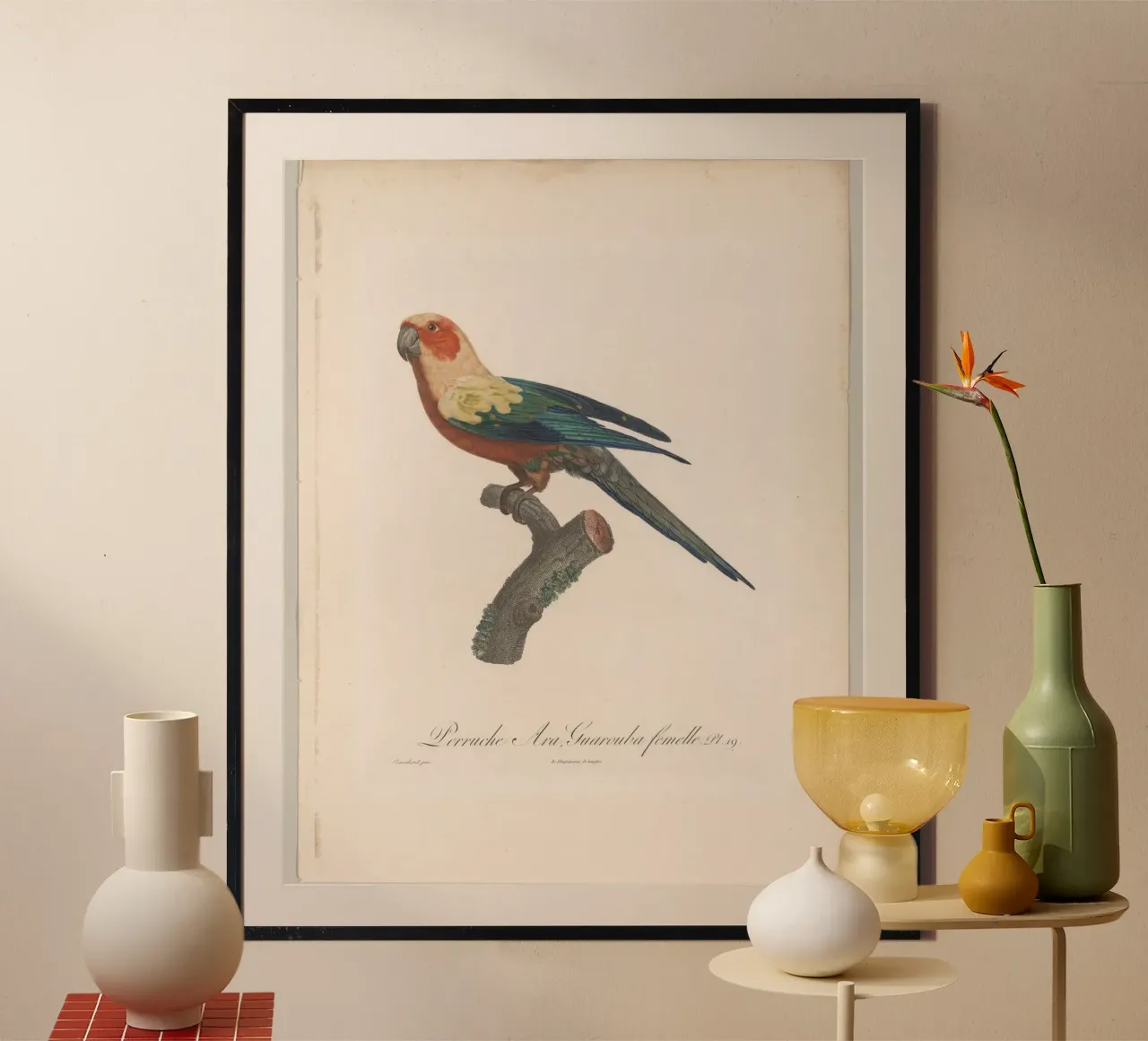 perroquets poster con telaio in alluminio da vintageshop