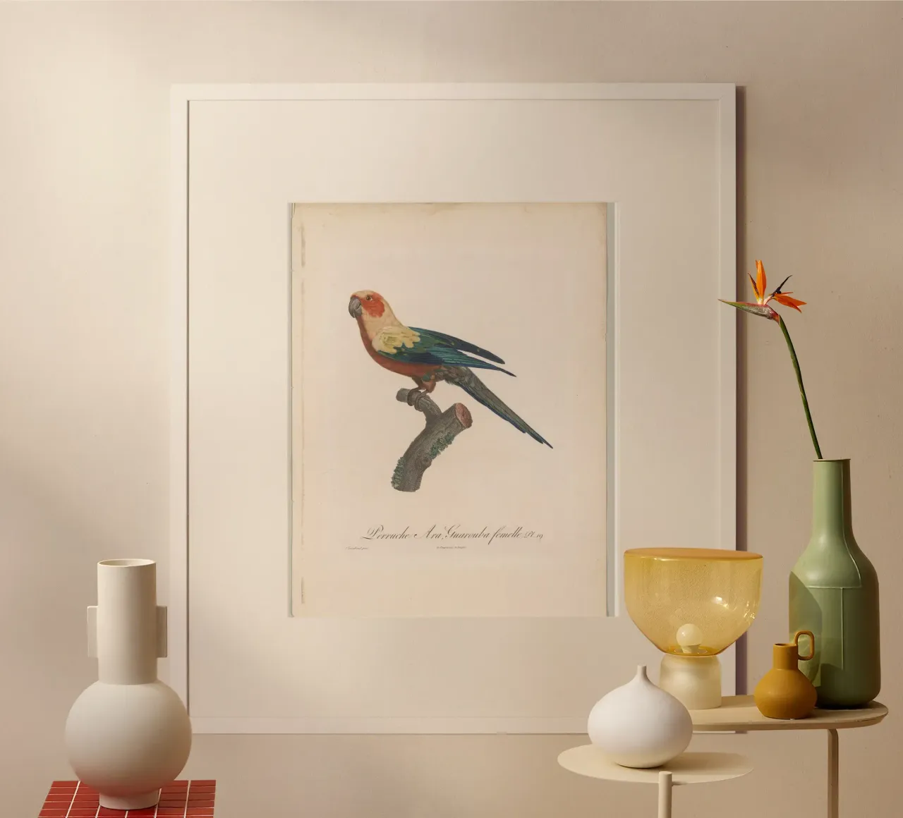 perroquets poster con telaio in alluminio da vintageshop
