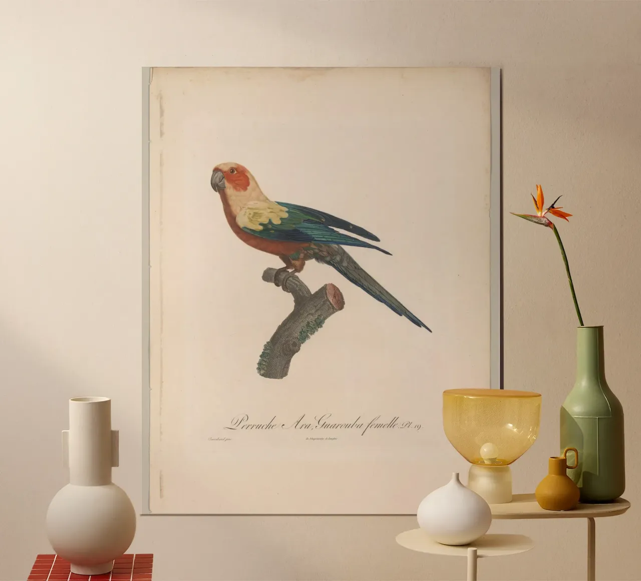 perroquets poster con telaio in alluminio da vintageshop