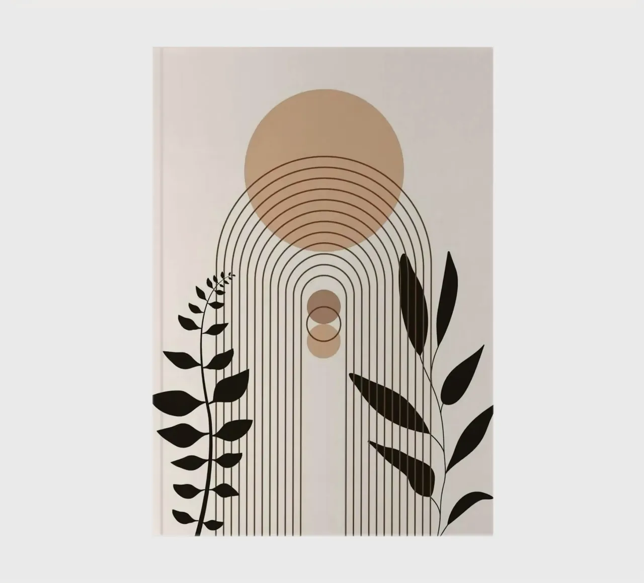 circle shape line curve branch diario da miracle