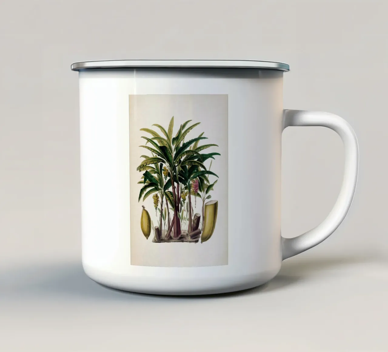 Vintage Denisse 6 Musa Acuminata tazza in smalto da Vintage Print Collection