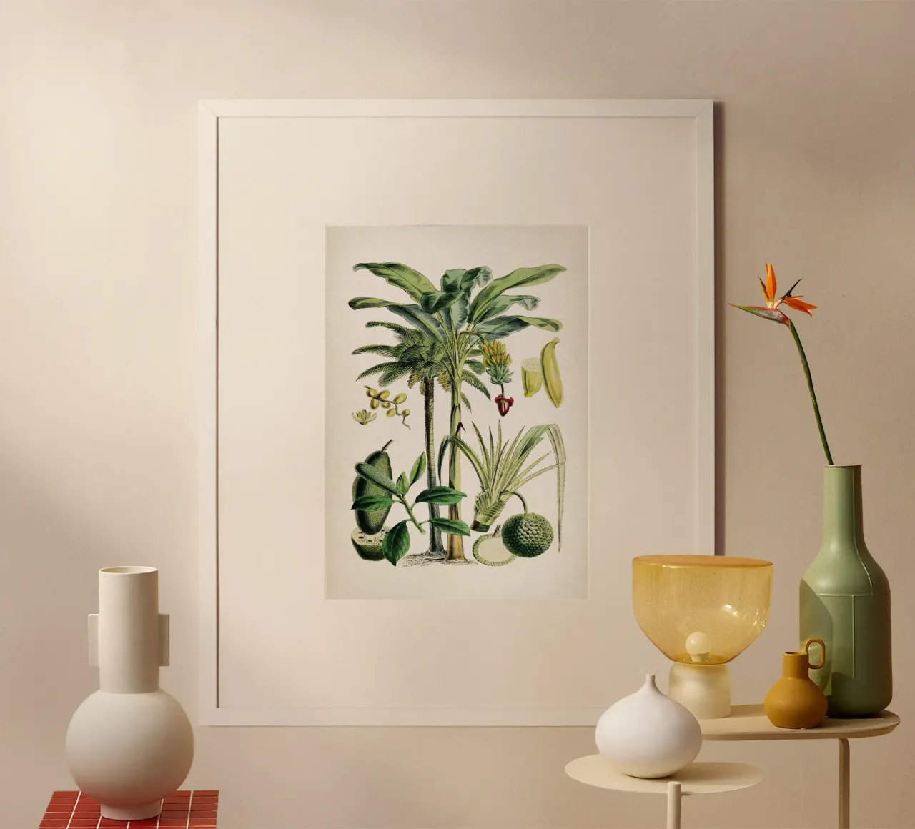 Vintage Denisse 6 Musa Sapientum poster con telaio in alluminio da Vintage Print Collection