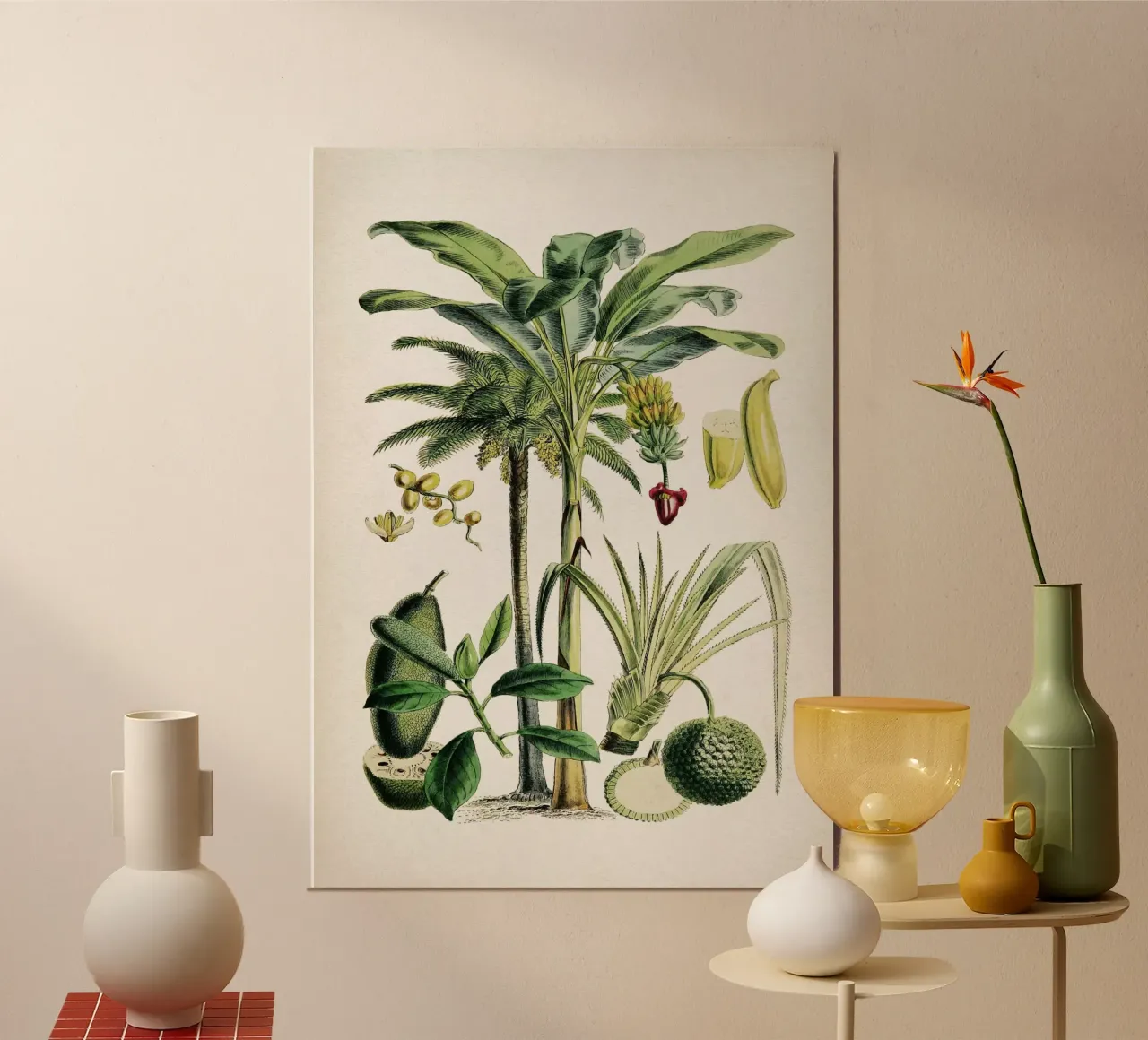 Vintage Denisse 6 Musa Sapientum poster con telaio in alluminio da Vintage Print Collection