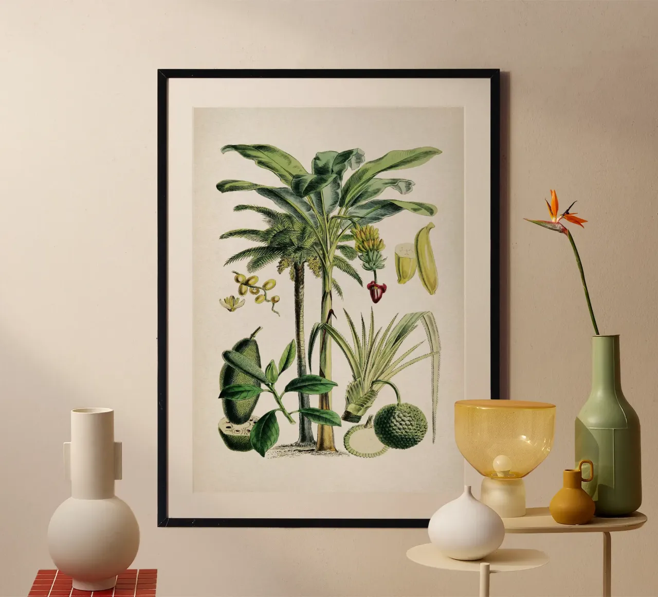 Vintage Denisse 6 Musa Sapientum poster con telaio in alluminio da Vintage Print Collection