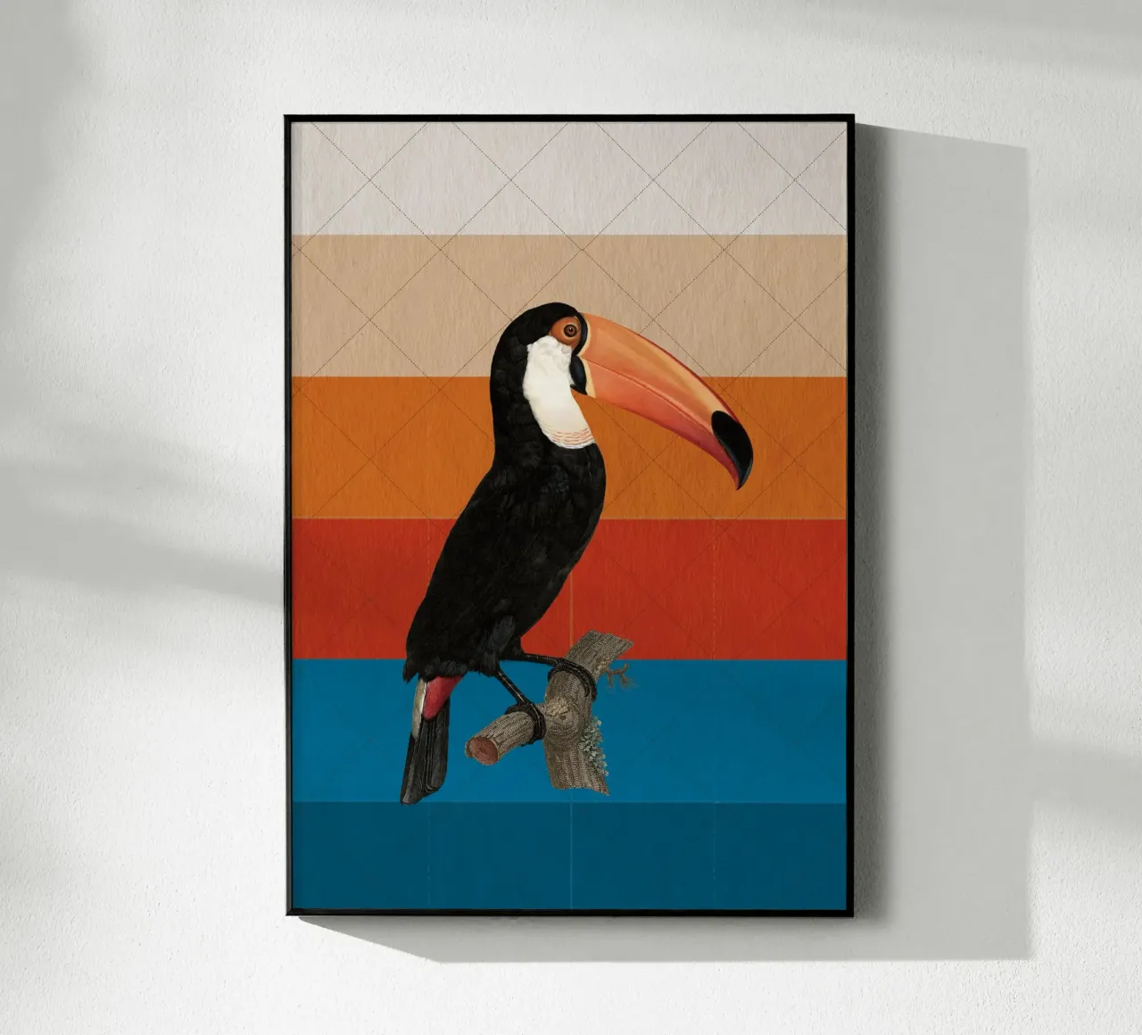 Tukan plexiglass da lazydaypaper