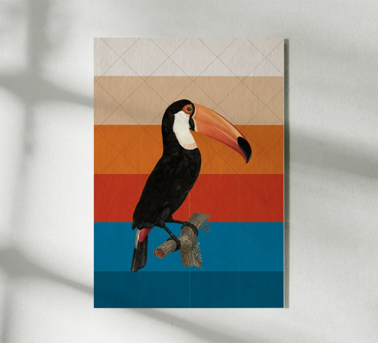 Tukan plexiglass da lazydaypaper