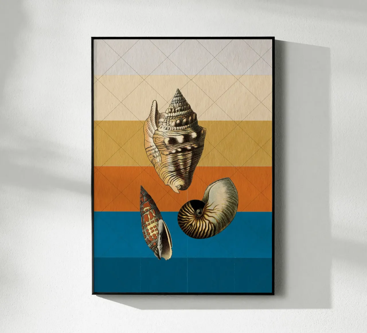 Muscheln plexiglass da lazydaypaper