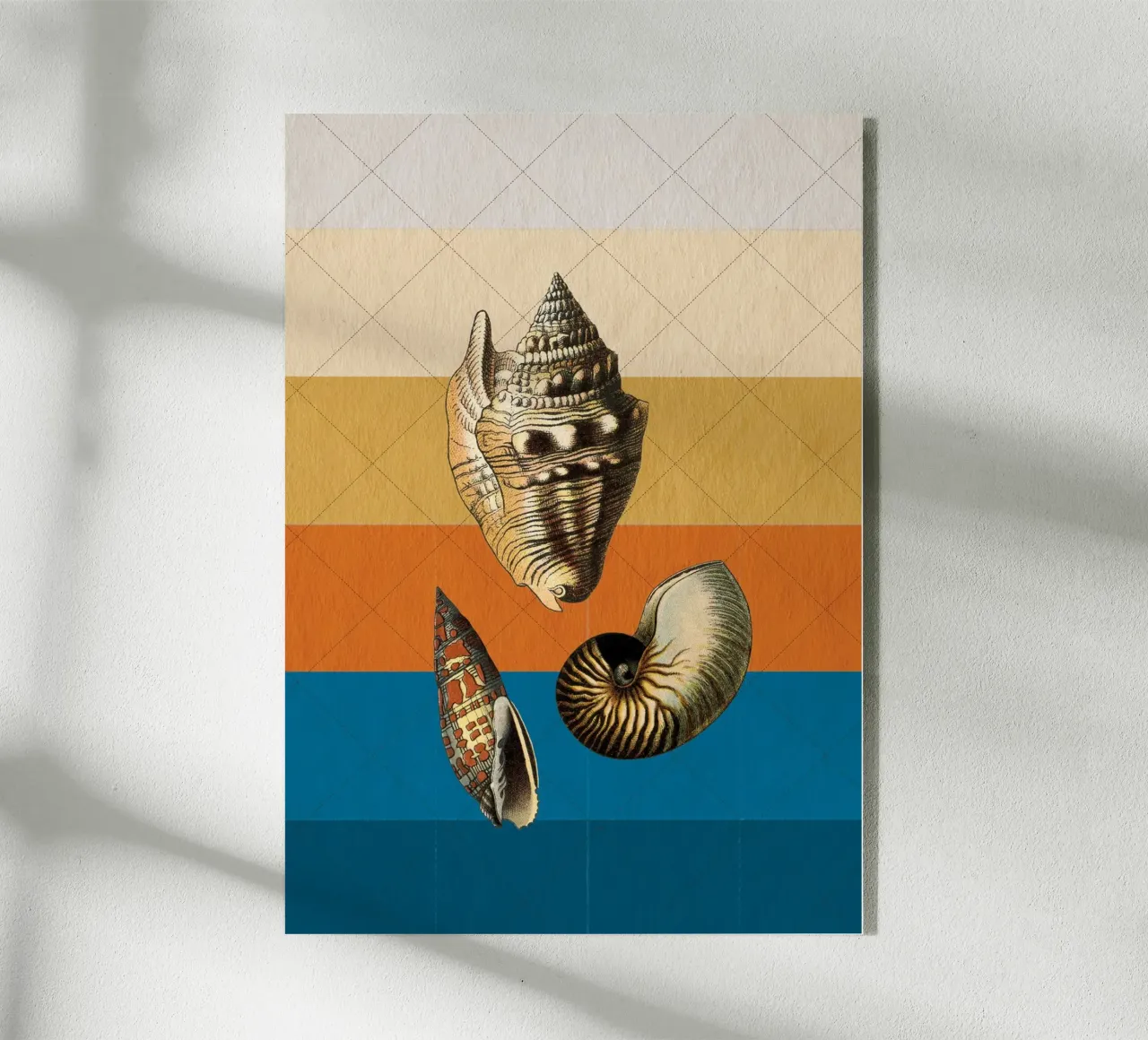 Muscheln plexiglass da lazydaypaper