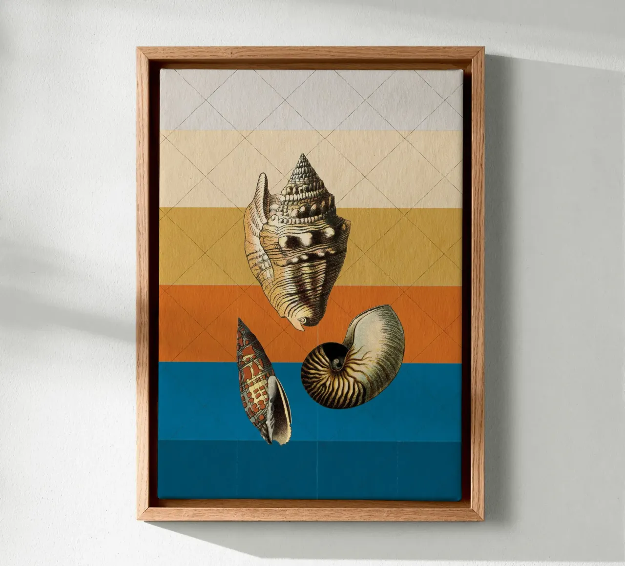 Muscheln tela con Cornice a cassetta da lazydaypaper