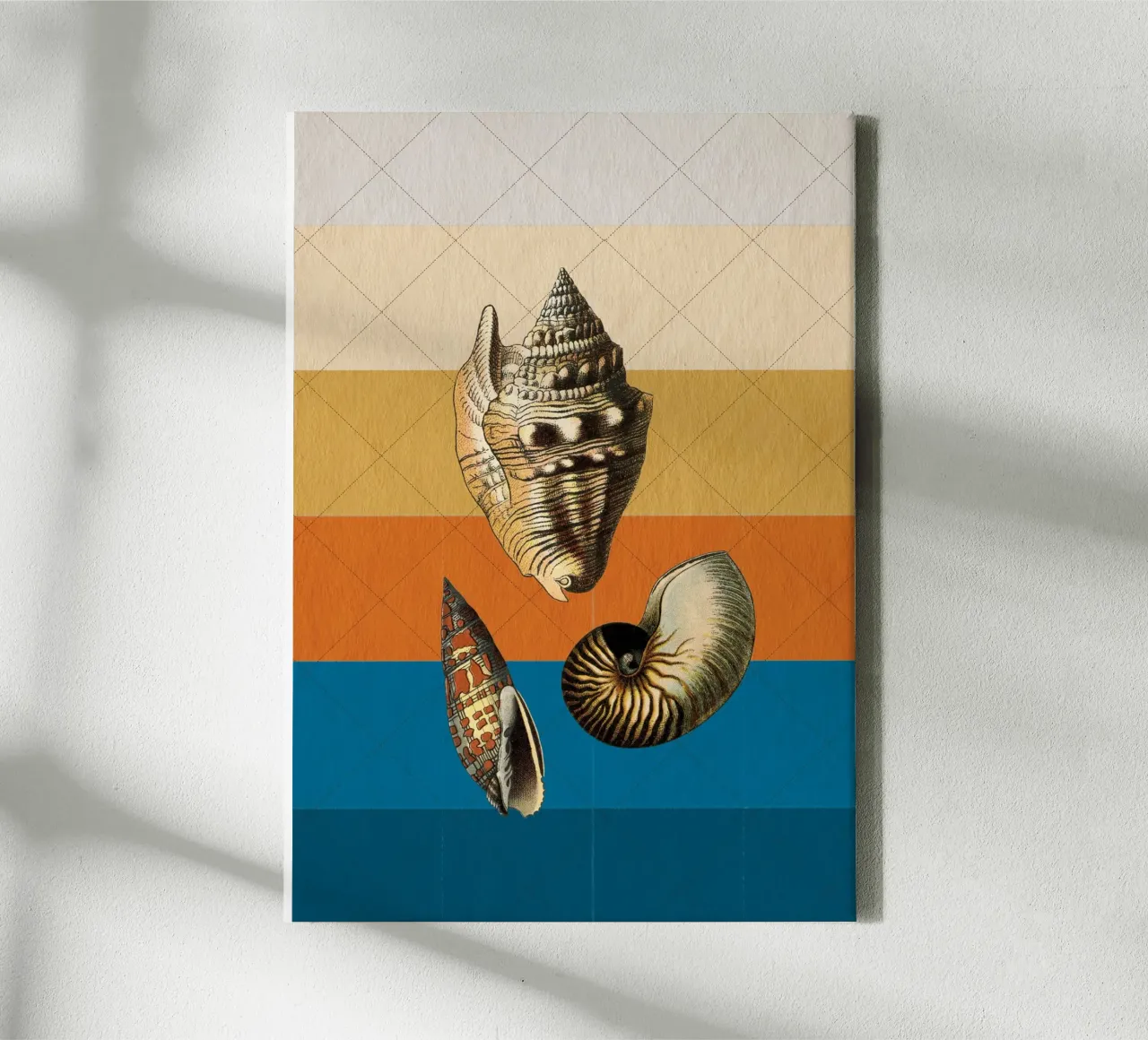 Muscheln tela con Cornice a cassetta da lazydaypaper