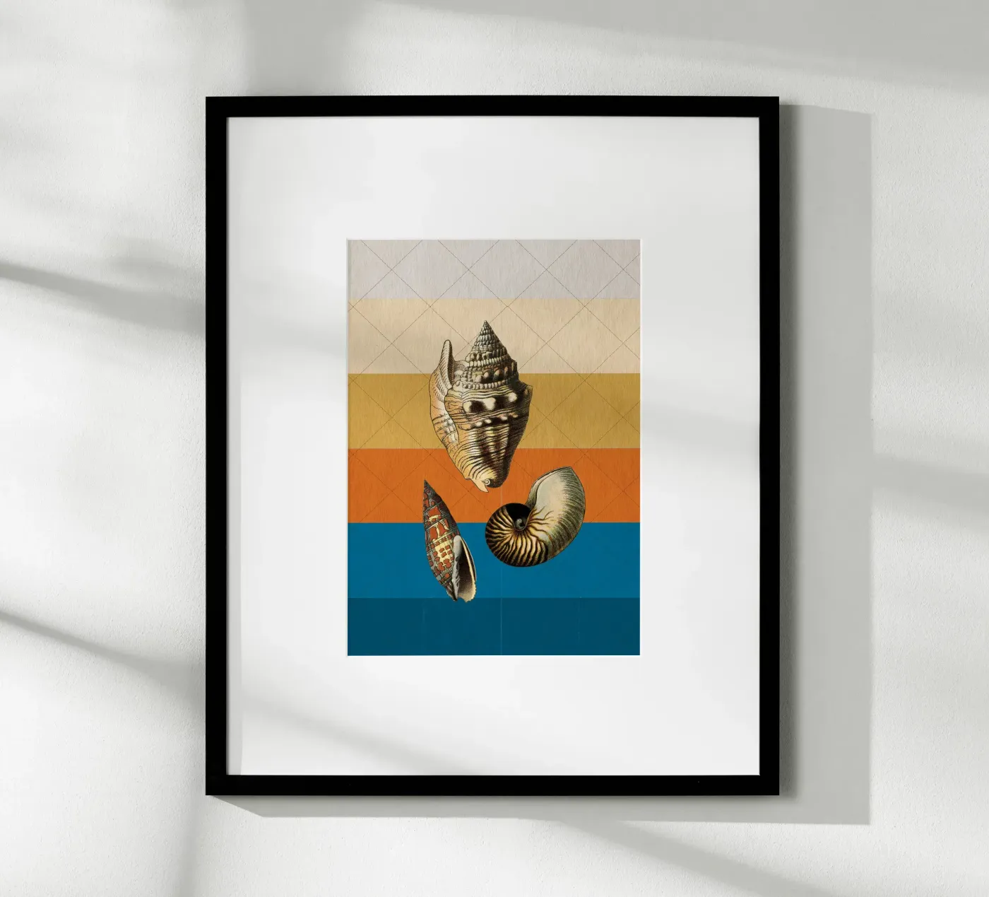 Muscheln poster da lazydaypaper