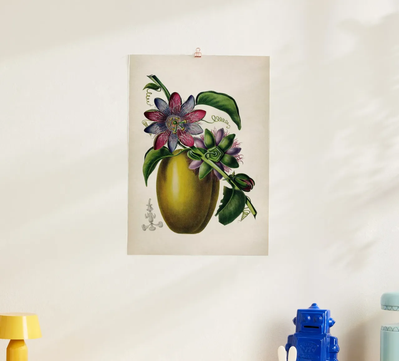 Vintage Denisse 7 Passiflora Caerulea poster con telaio in alluminio da Vintage Print Collection
