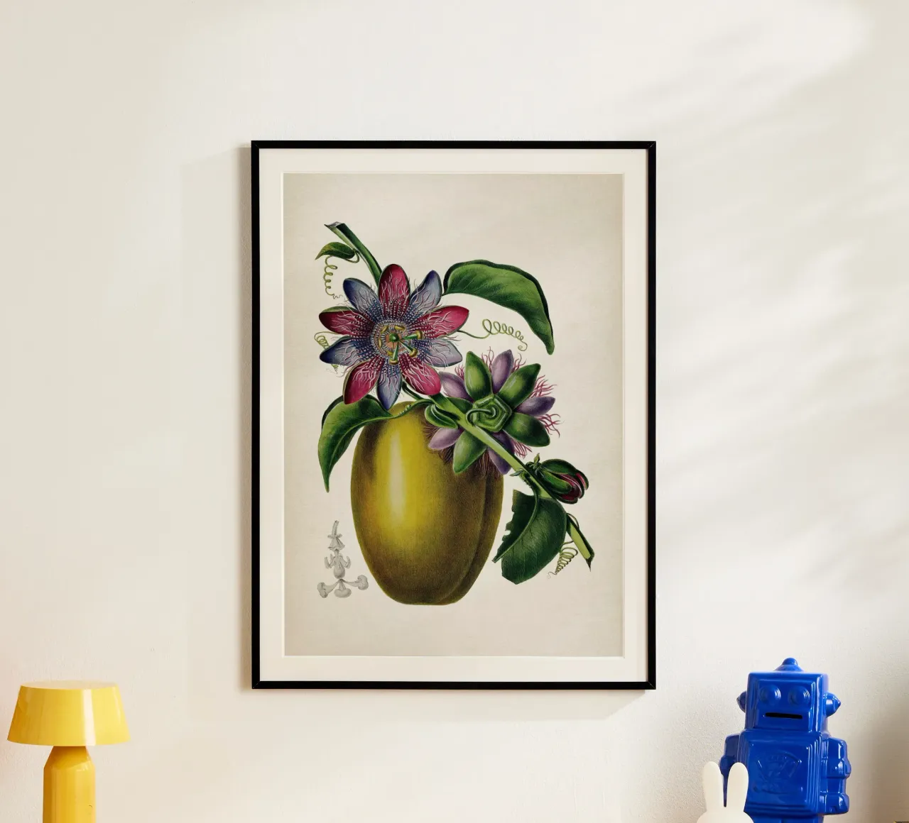 Vintage Denisse 7 Passiflora Caerulea poster con telaio in alluminio da Vintage Print Collection
