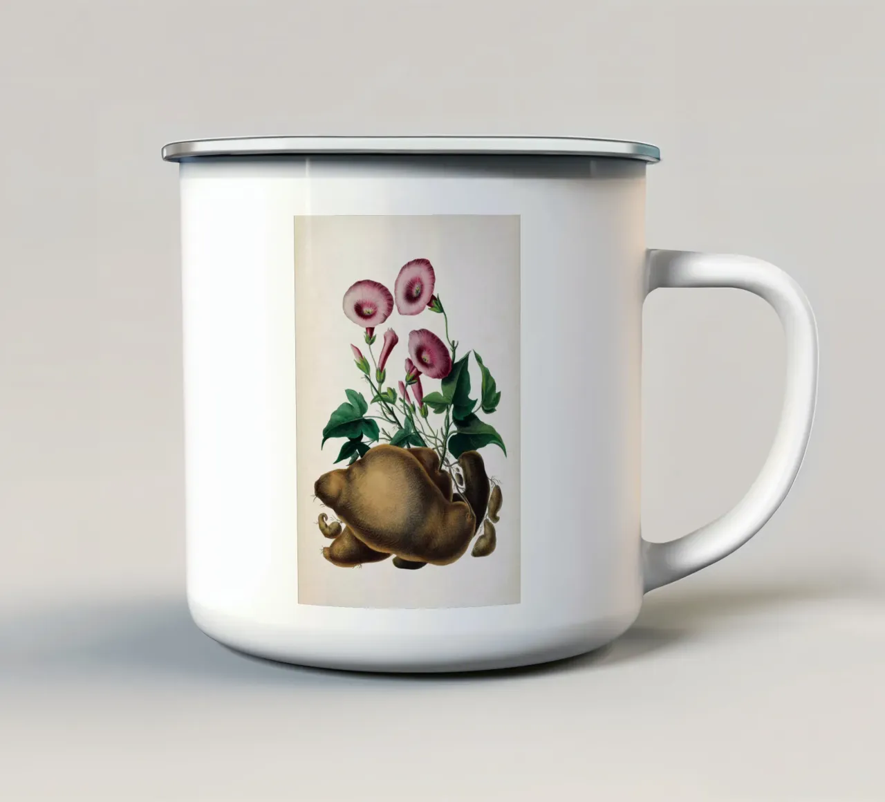 Vintage Denisse 8 Ipomoea Batatas tazza in smalto da Vintage Print Collection