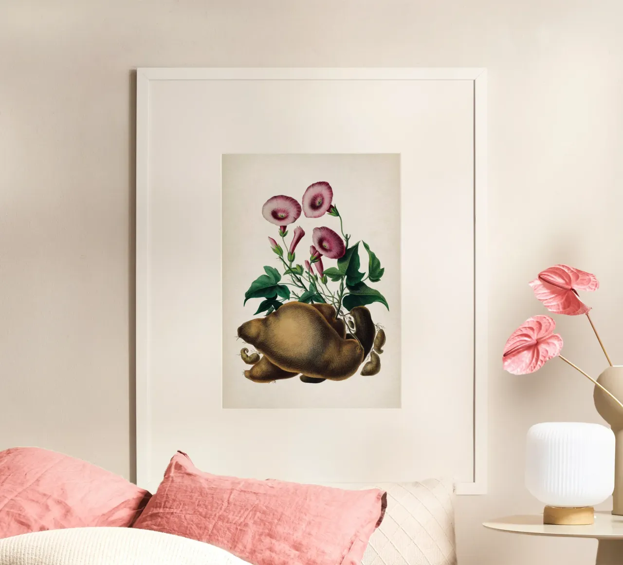Vintage Denisse 8 Ipomoea Batatas poster da Vintage Print Collection