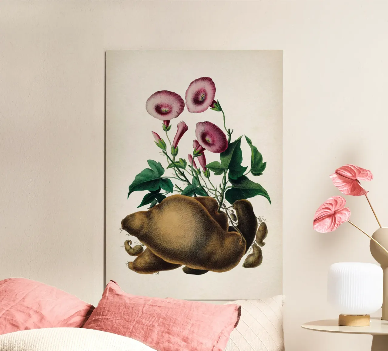 Vintage Denisse 8 Ipomoea Batatas poster da Vintage Print Collection