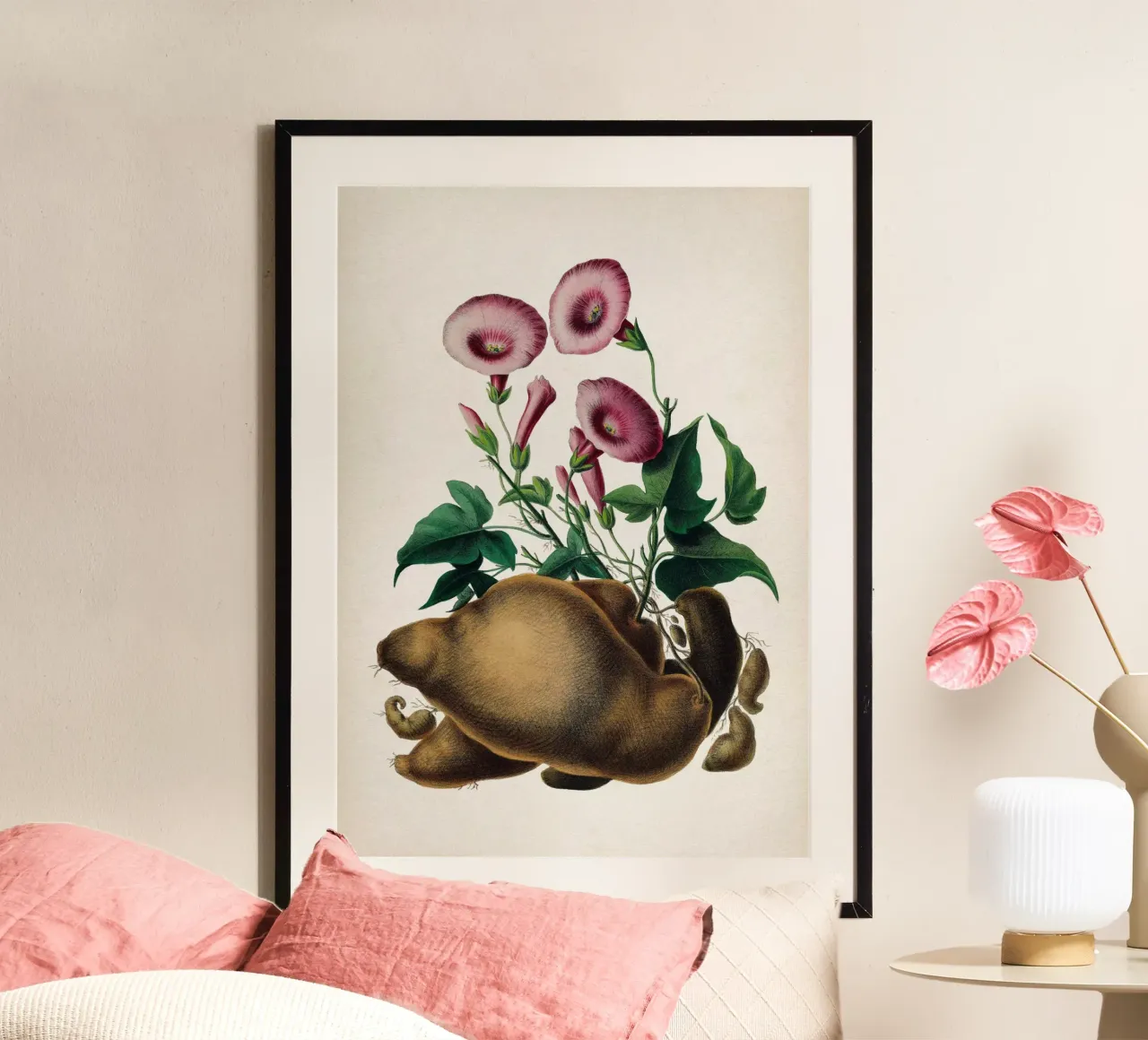 Vintage Denisse 8 Ipomoea Batatas poster da Vintage Print Collection