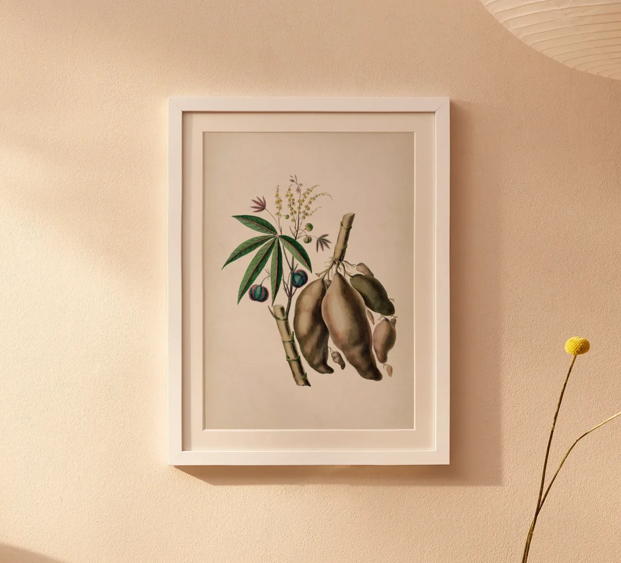 Vintage Denisse 8 Jatropha Manihot poster con telaio in alluminio da Vintage Print Collection
