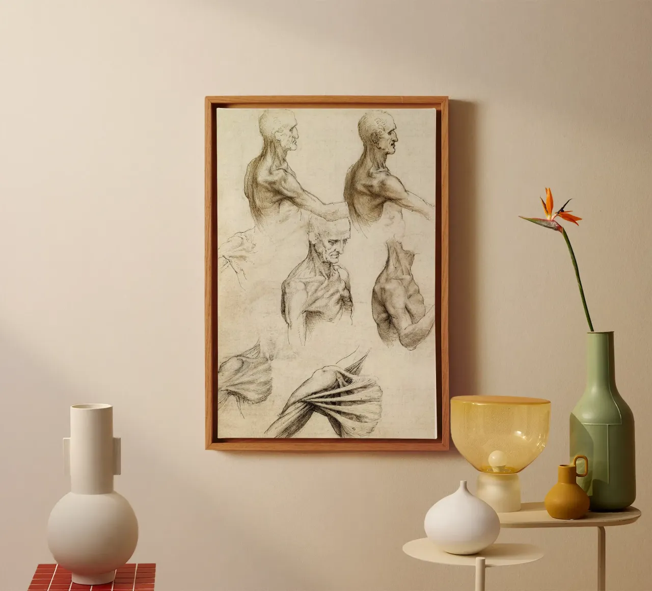 Anatomy of the Shoulder by Leonardo da Vinci canvas with Floater frame by James McIntosh