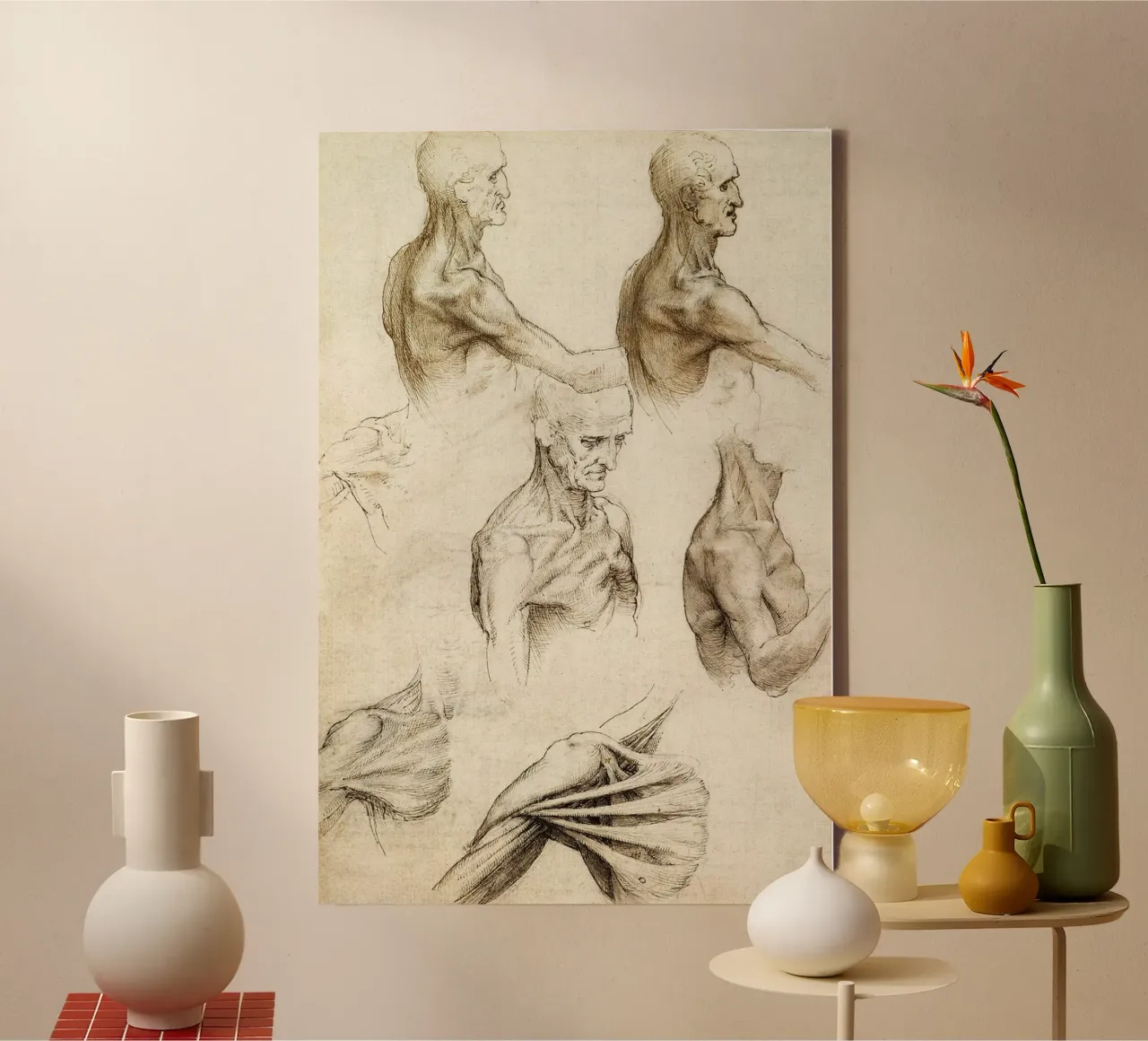 Anatomy of the Shoulder by Leonardo da Vinci canvas with Floater frame by James McIntosh