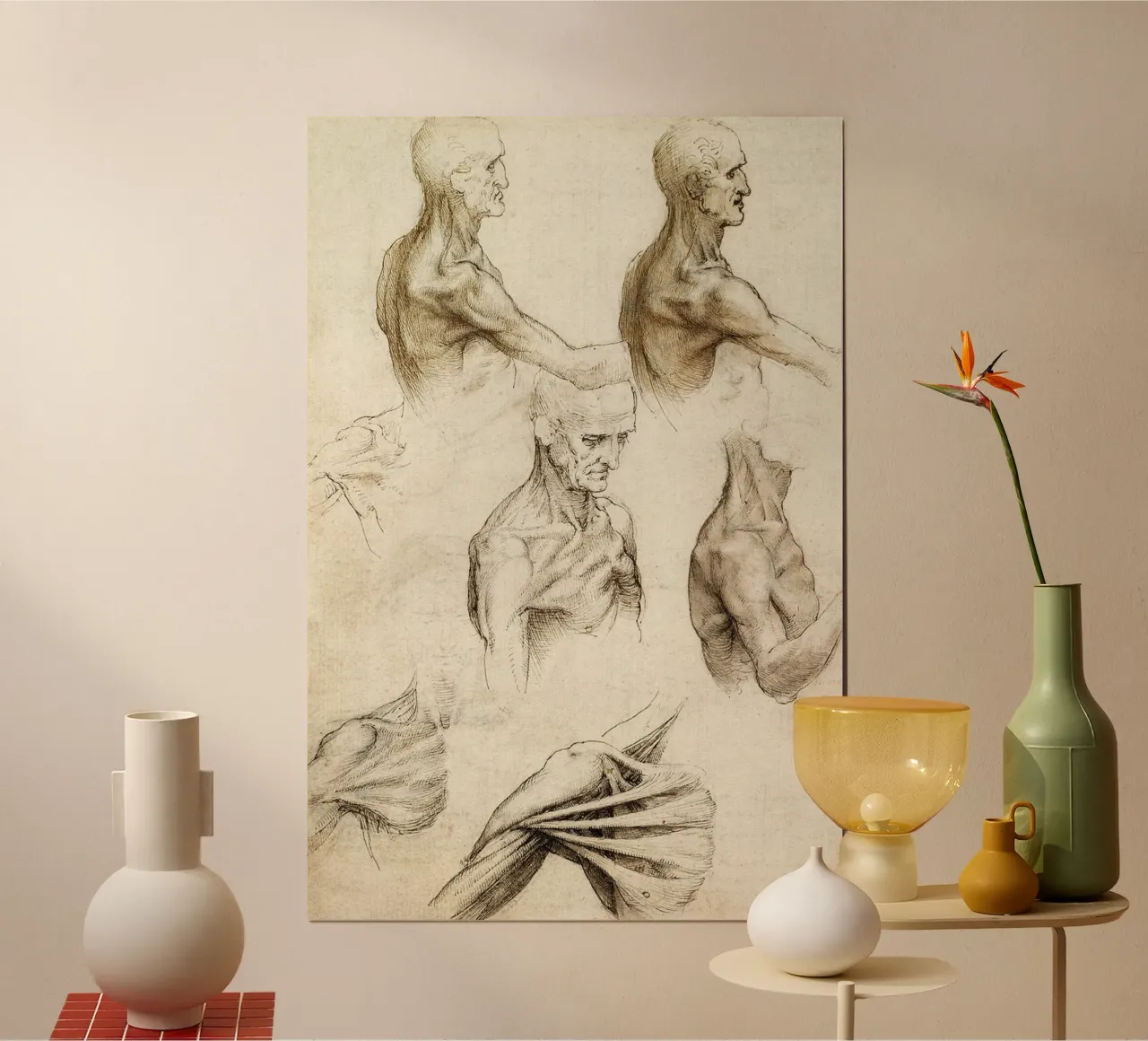 Anatomia della spalla di Leonardo da Vinci poster con telaio in plastica da James McIntosh