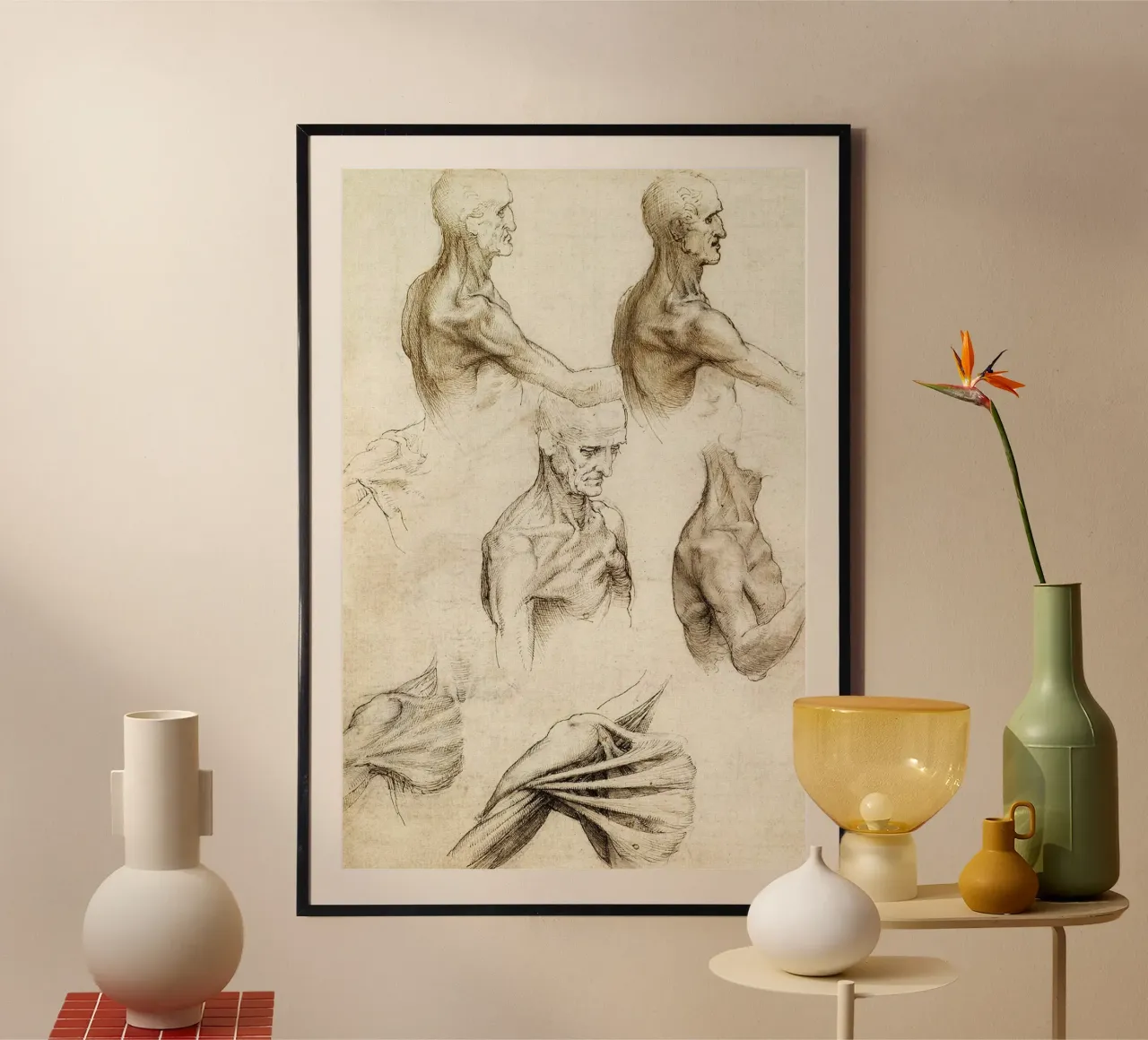 Anatomia della spalla di Leonardo da Vinci poster con telaio in plastica da James McIntosh