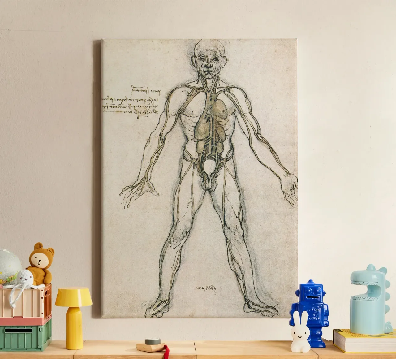 Studio di anatomia di Leonardo da Vinci tela con Cornice a cassetta da James McIntosh