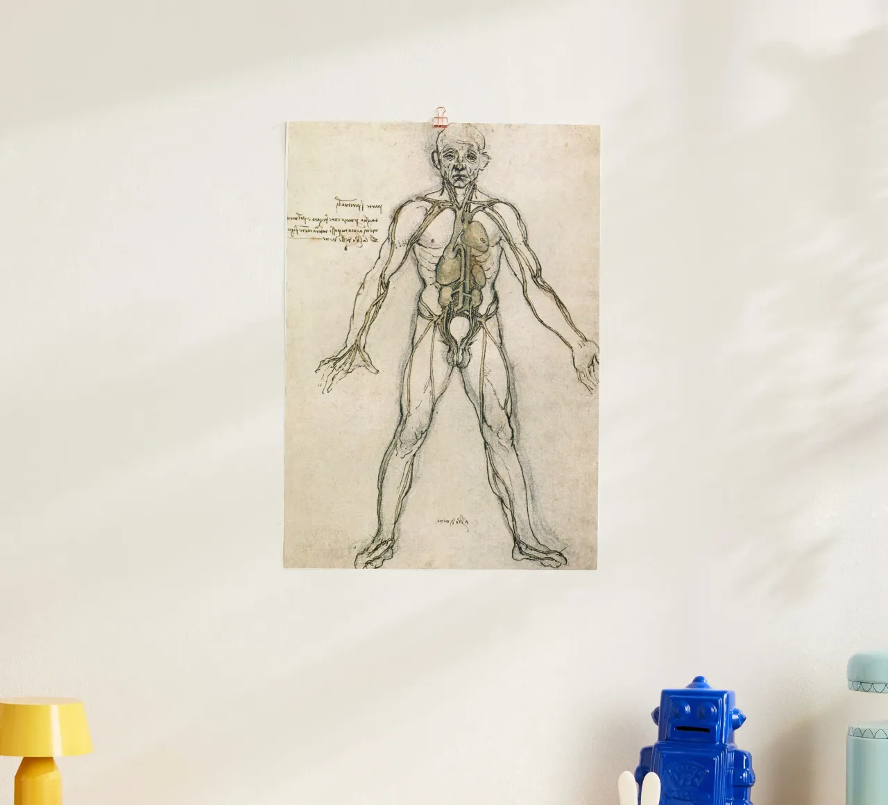 Studio di anatomia di Leonardo da Vinci poster con telaio in plastica da James McIntosh