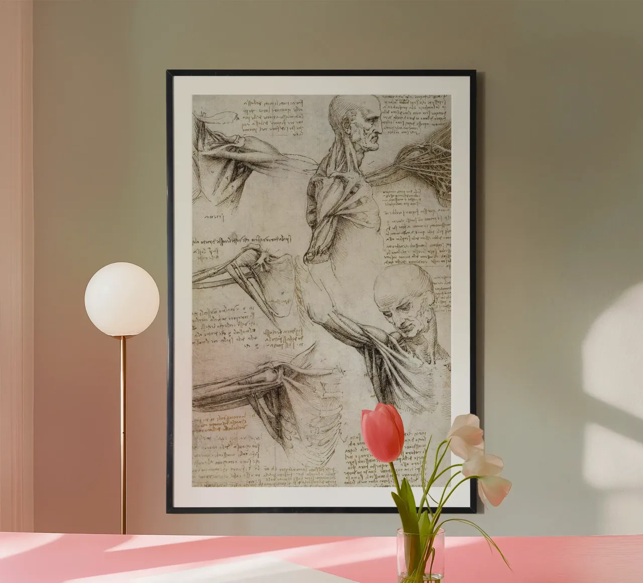 Muscoli e tendini della spalla e dell'arto superiore di Leonar poster con telaio in plastica da James McIntosh