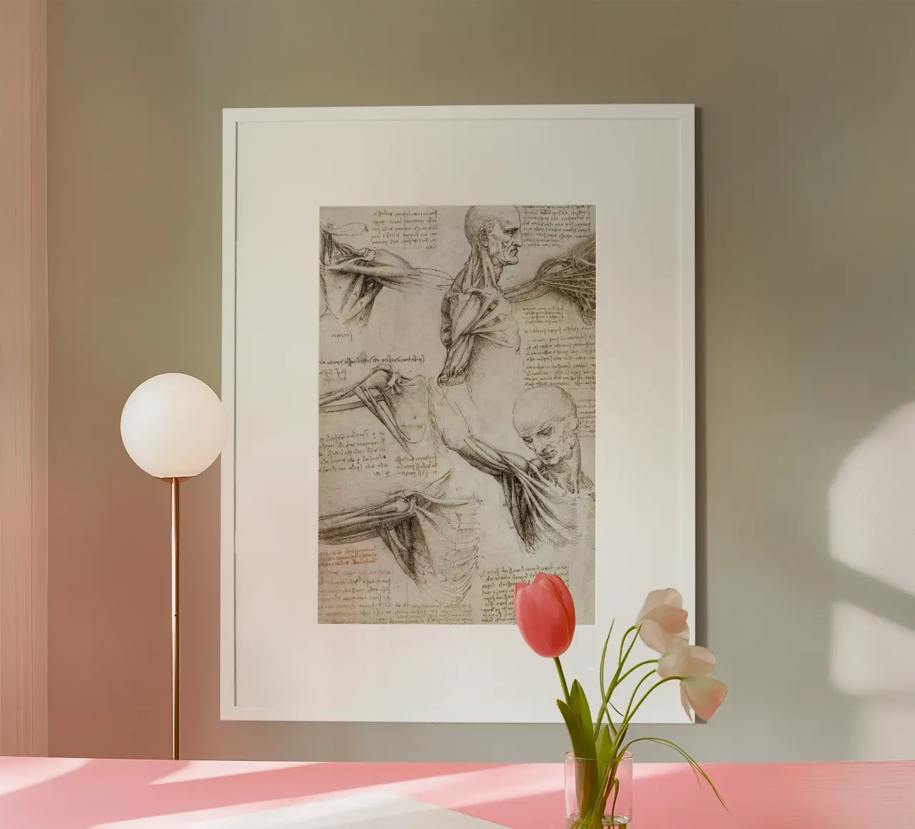 Muscoli e tendini della spalla e dell'arto superiore di Leonar poster con telaio in plastica da James McIntosh