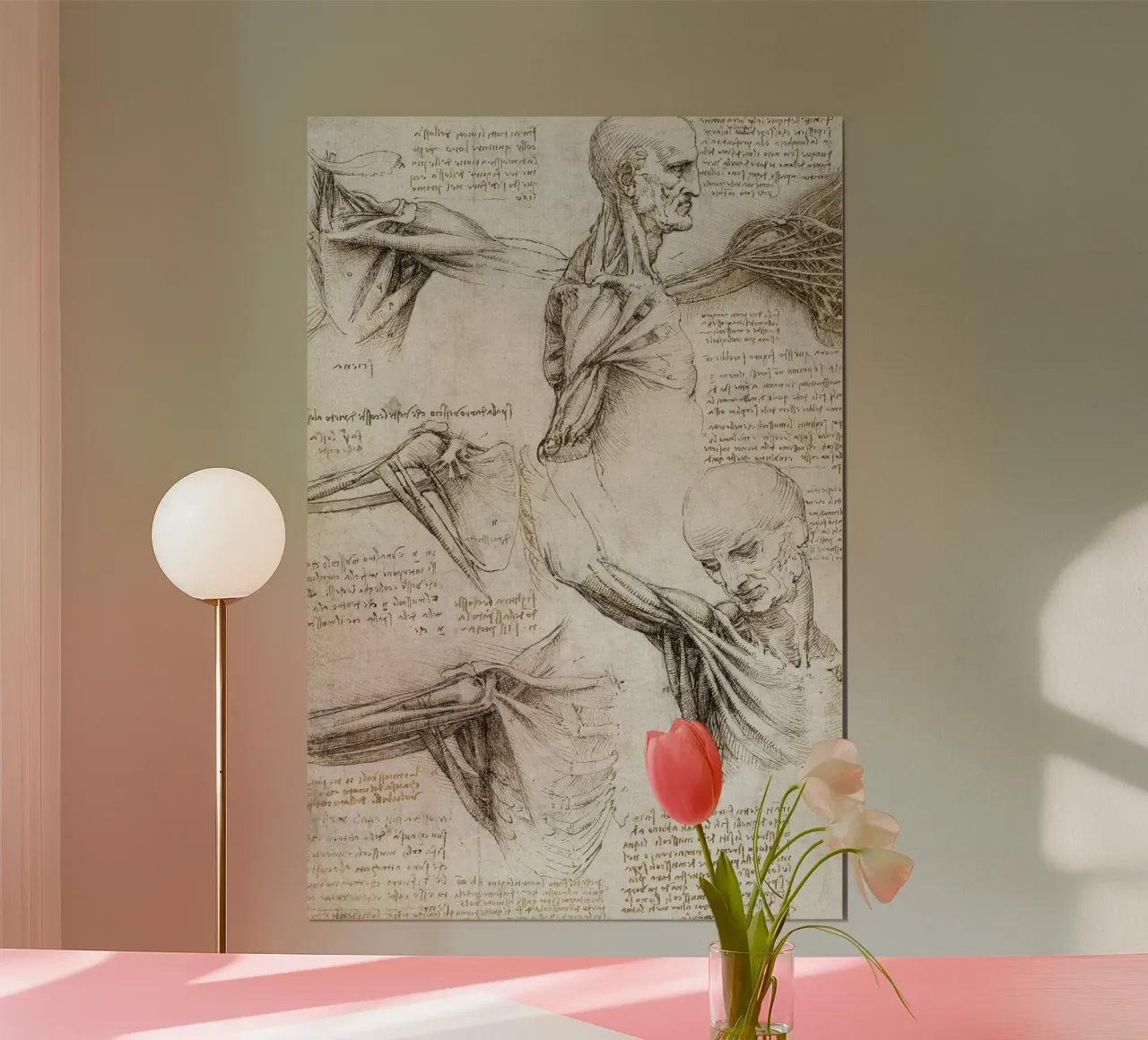 Muscoli e tendini della spalla e dell'arto superiore di Leonar poster con telaio in plastica da James McIntosh