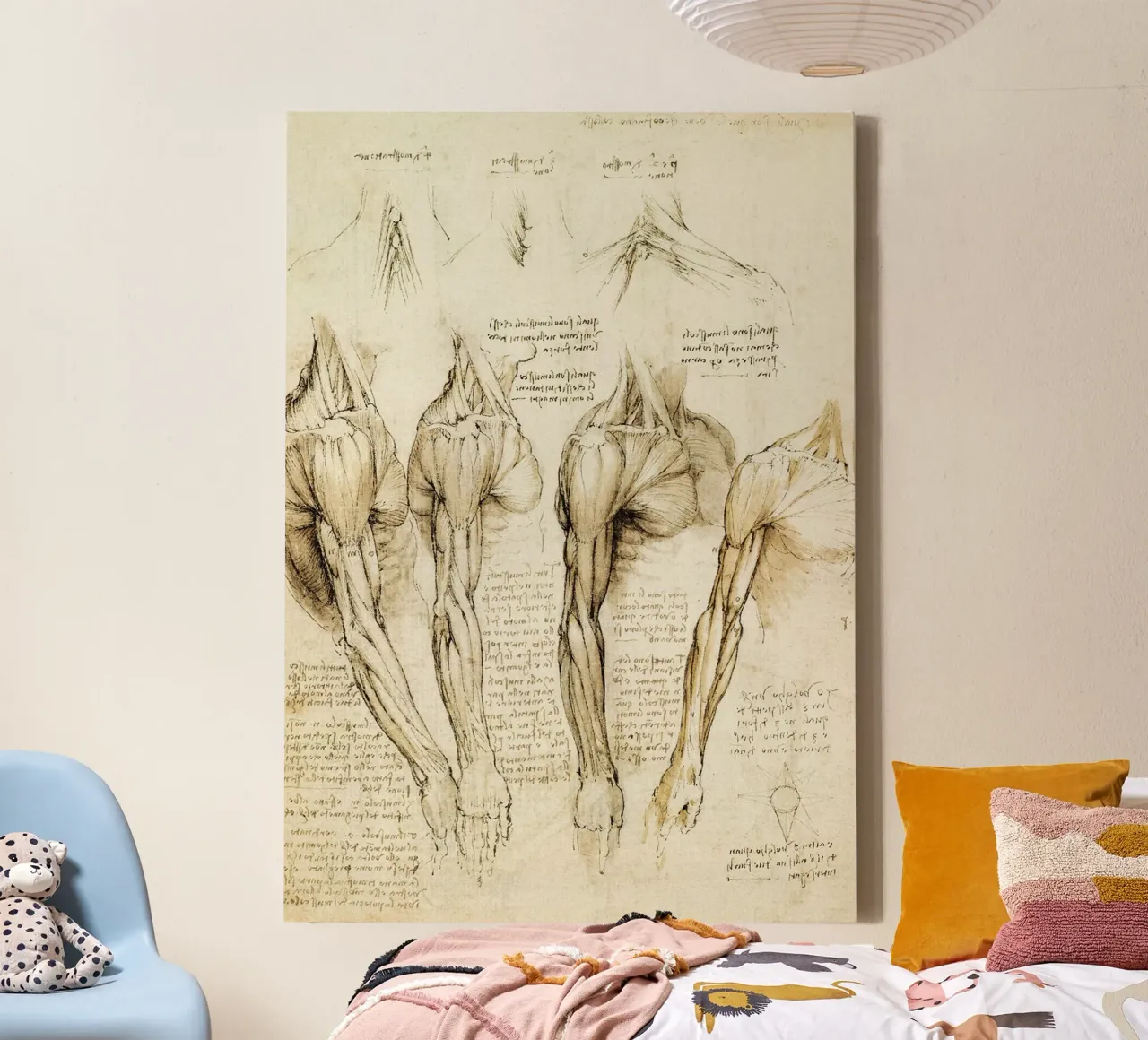 Muscles of shoulder, arm and neck by Leonardo da Vinci canvas with Floater frame by James McIntosh