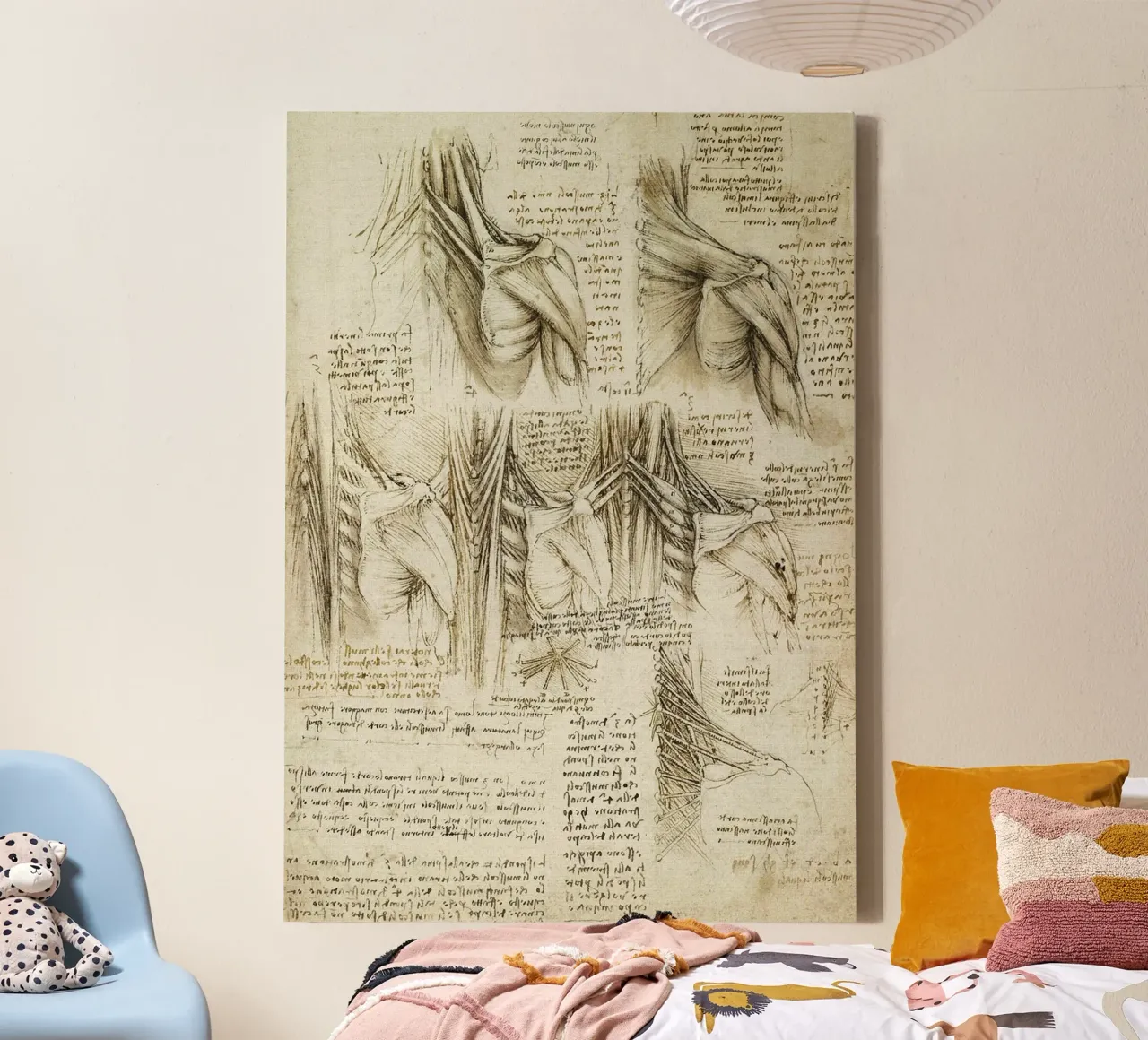 Muscles of the spine by Leonardo da Vinci canvas with Floater frame by James McIntosh