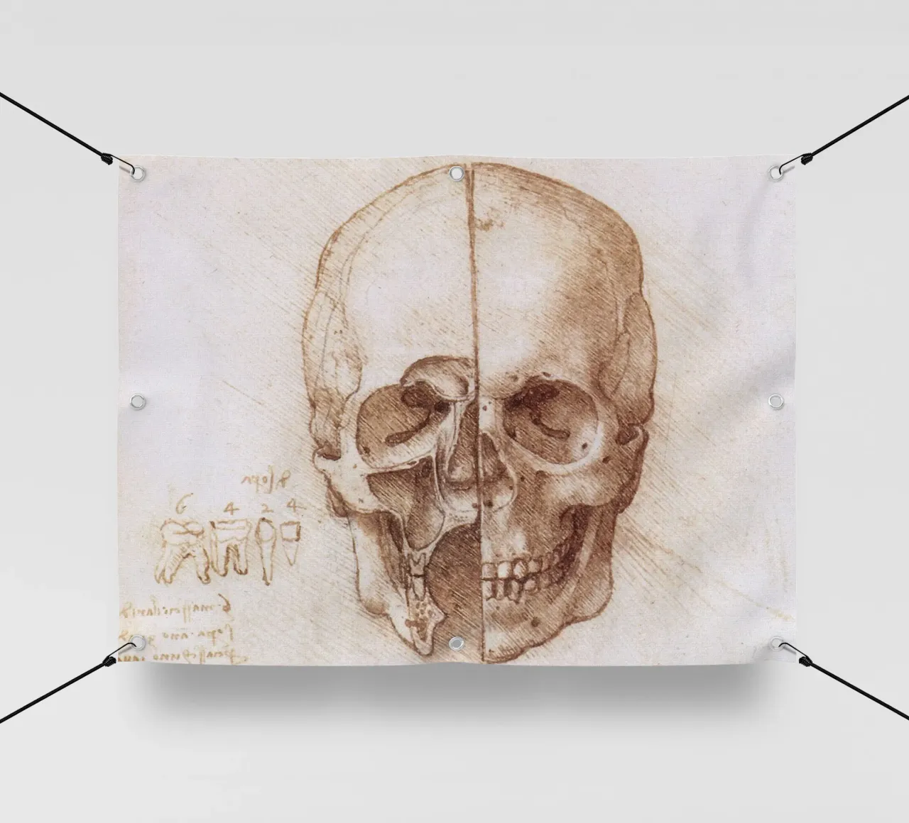 Skull by Leonardo da Vinci telo in pvc da James McIntosh