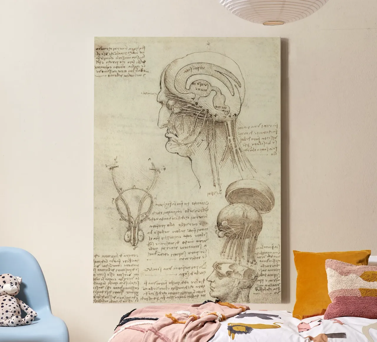 Studies of the skull and brain by Leonardo da Vinci canvas with Floater frame by James McIntosh