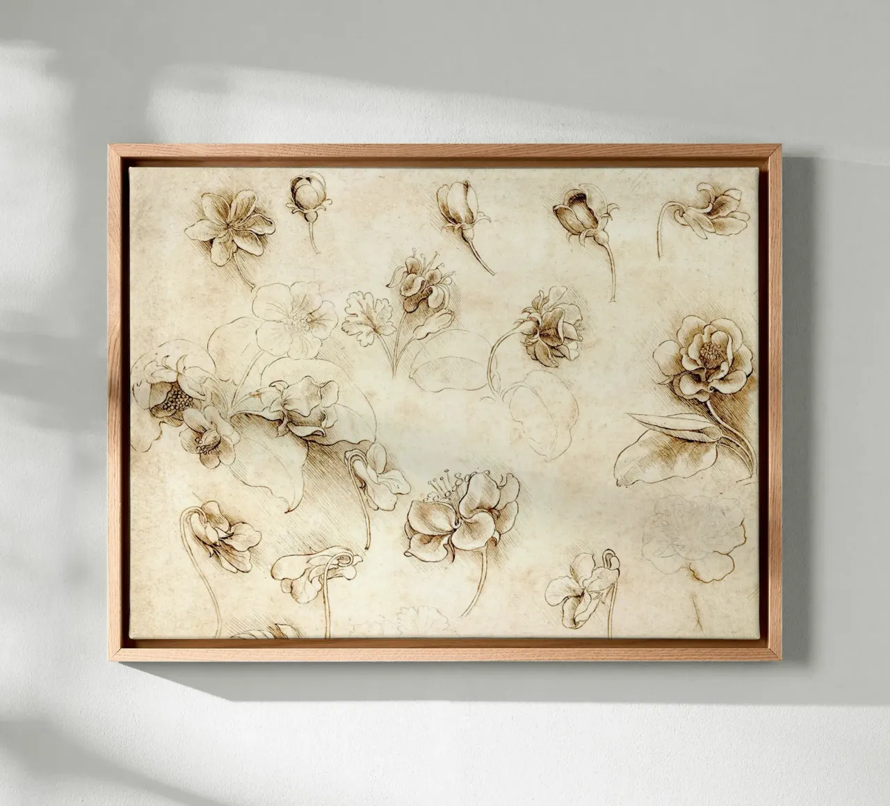 Study of Flowers of Grass-like plants by Leonardo da Vinci canvas with Floater frame by James McIntosh
