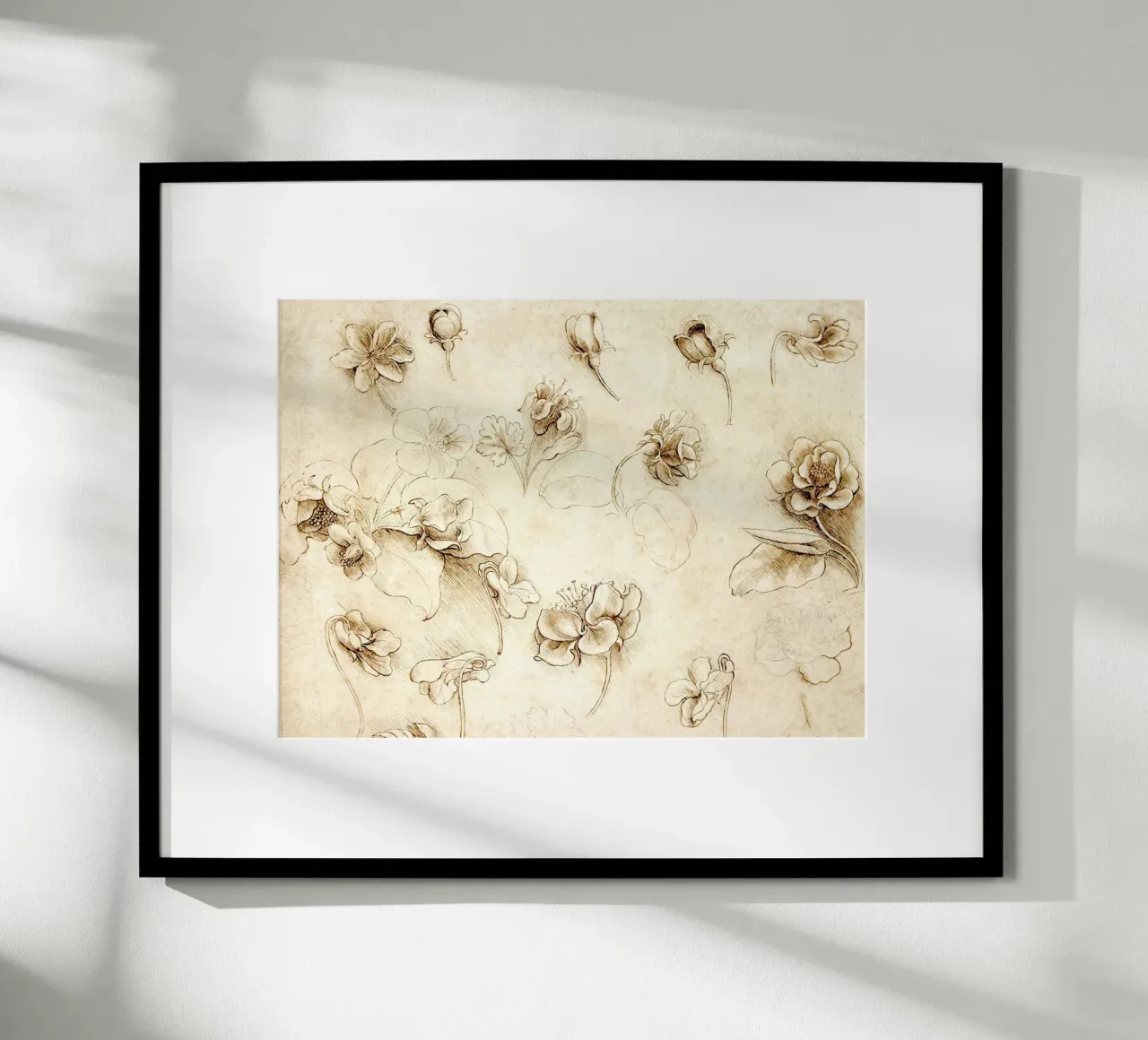 Studio di fiori di piante erbacee di Leonardo da Vinci poster con telaio in plastica da James McIntosh