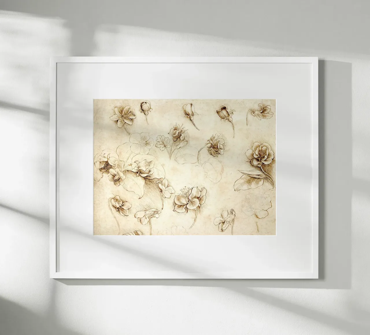 Studio di fiori di piante erbacee di Leonardo da Vinci poster con telaio in plastica da James McIntosh