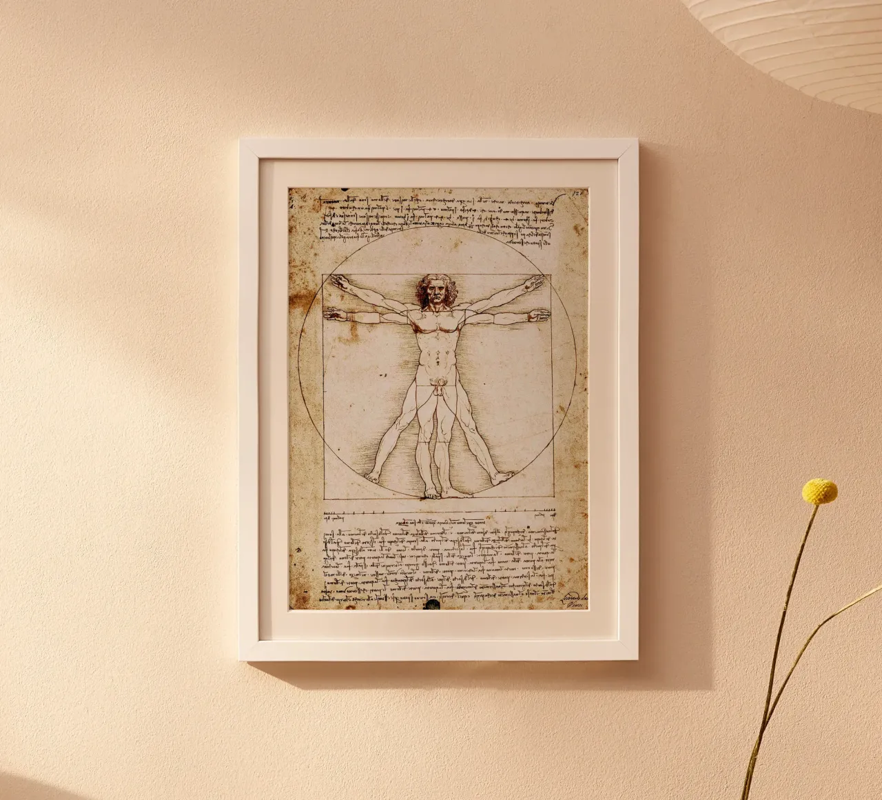 Uomo vitruviano I di Leonardo da Vinci poster da James McIntosh