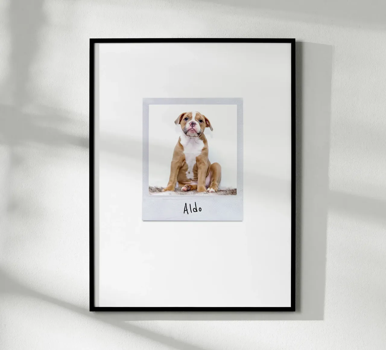 Polaroid Instant Style Custom Pet Poster poster with aluminum frame by Brillo Studio