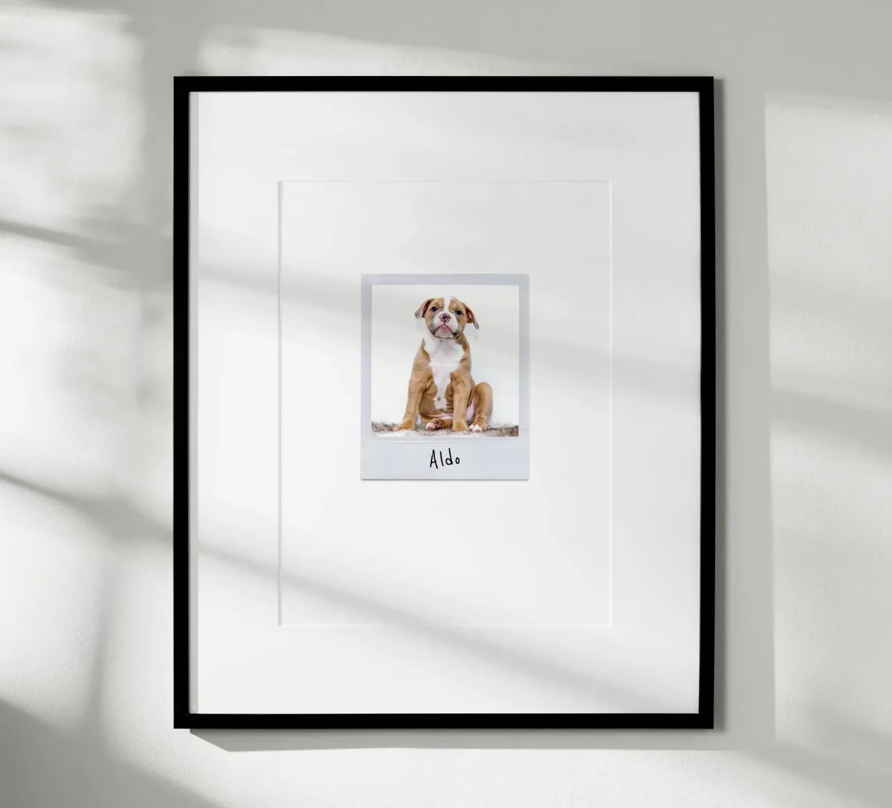 Polaroid Instant Style Custom Pet Poster poster with aluminum frame by Brillo Studio