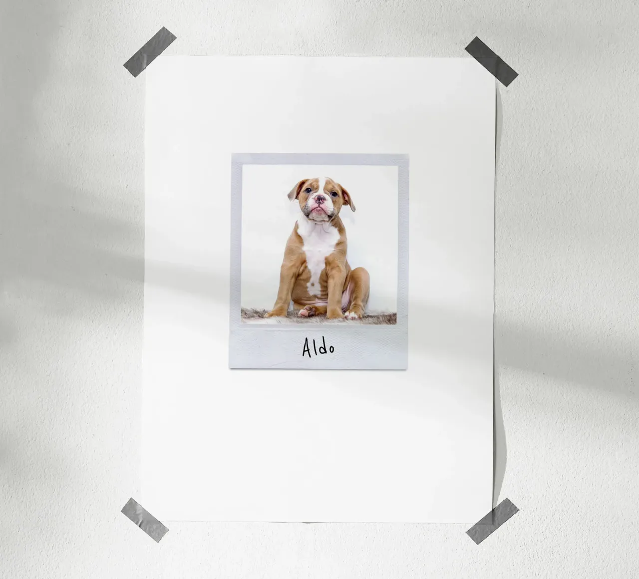 Polaroid Instant Style Custom Pet Poster poster with aluminum frame by Brillo Studio