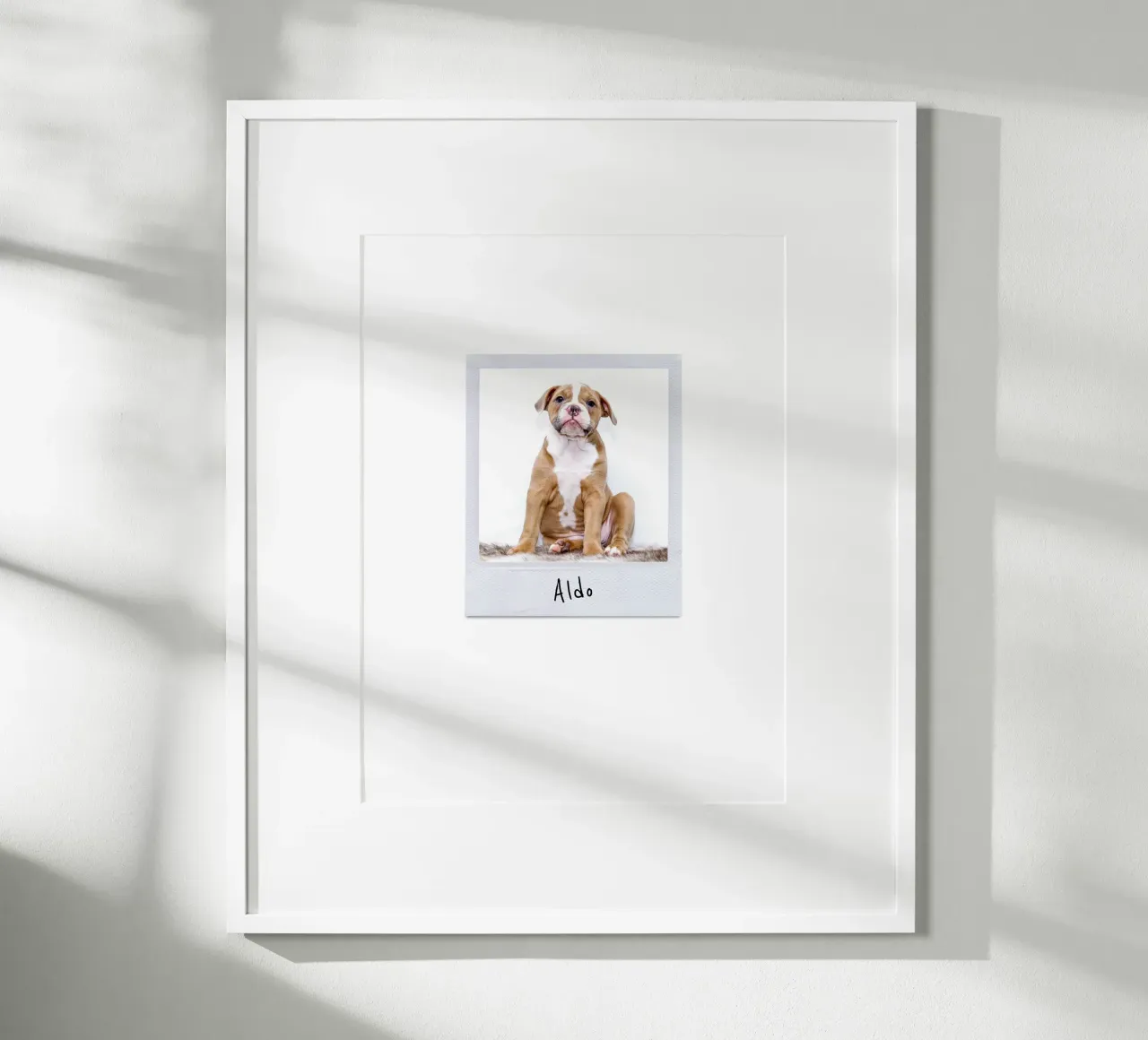 Polaroid Instant Style Custom Pet Poster poster with aluminum frame by Brillo Studio