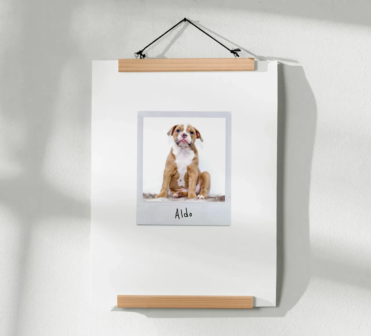 Polaroid Instant Style Custom Pet Poster poster with aluminum frame by Brillo Studio