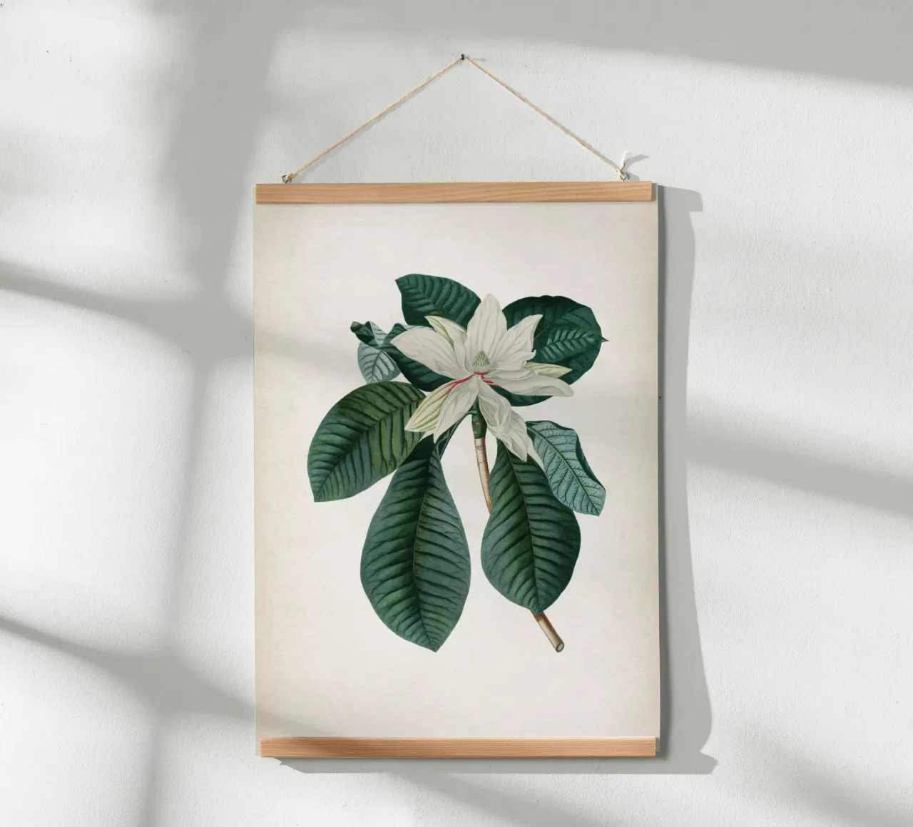 Vintage Ehret 4 Magnolia Foliis poster con telaio in legno da Vintage Print Collection