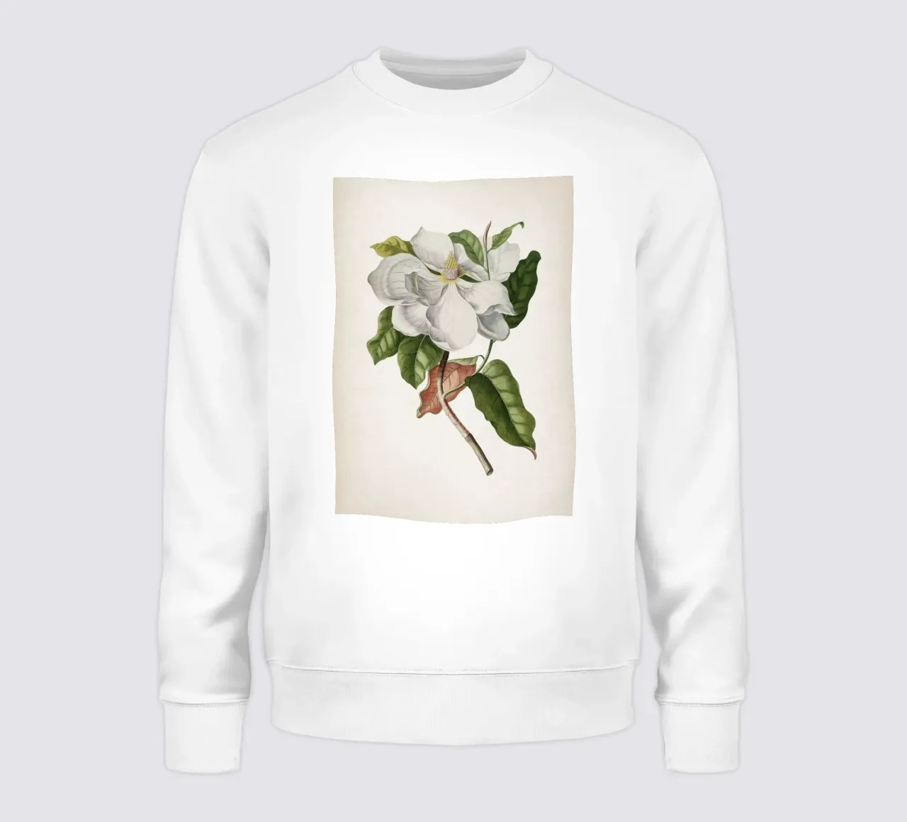 Vintage Ehret 4 Magnolia Maximo felpa da Vintage Print Collection