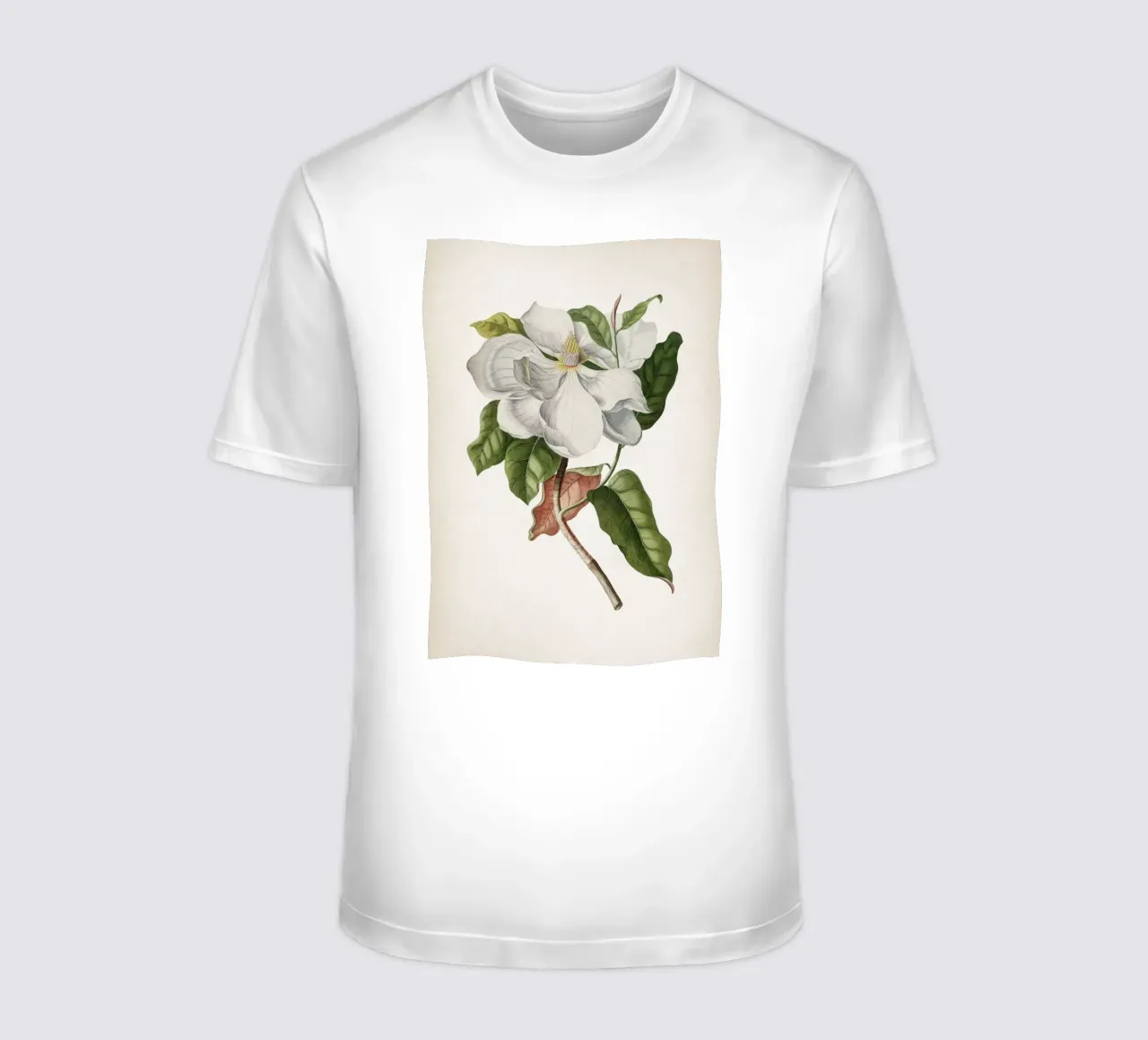 Vintage Ehret 4 Magnolia Maximo t-shirt da Vintage Print Collection